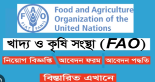 Food and Agriculture Organization Job Circular 2024