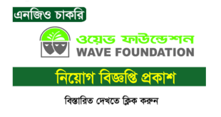 Wave Foundation NGO Job Circular 2024